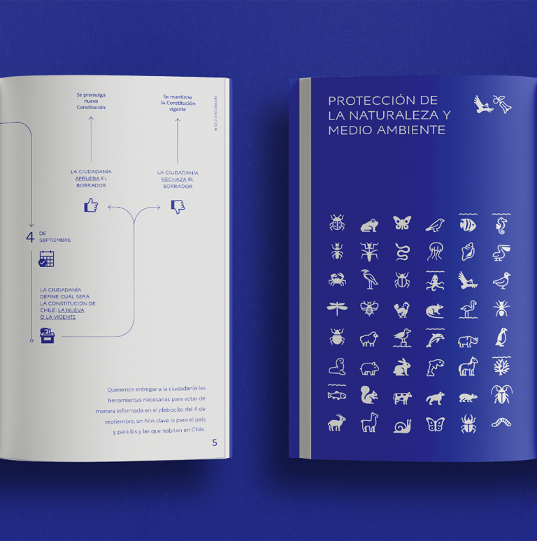 «Con peras y manzanas»: el libro guía que explica la propuesta Constitucional de Chile