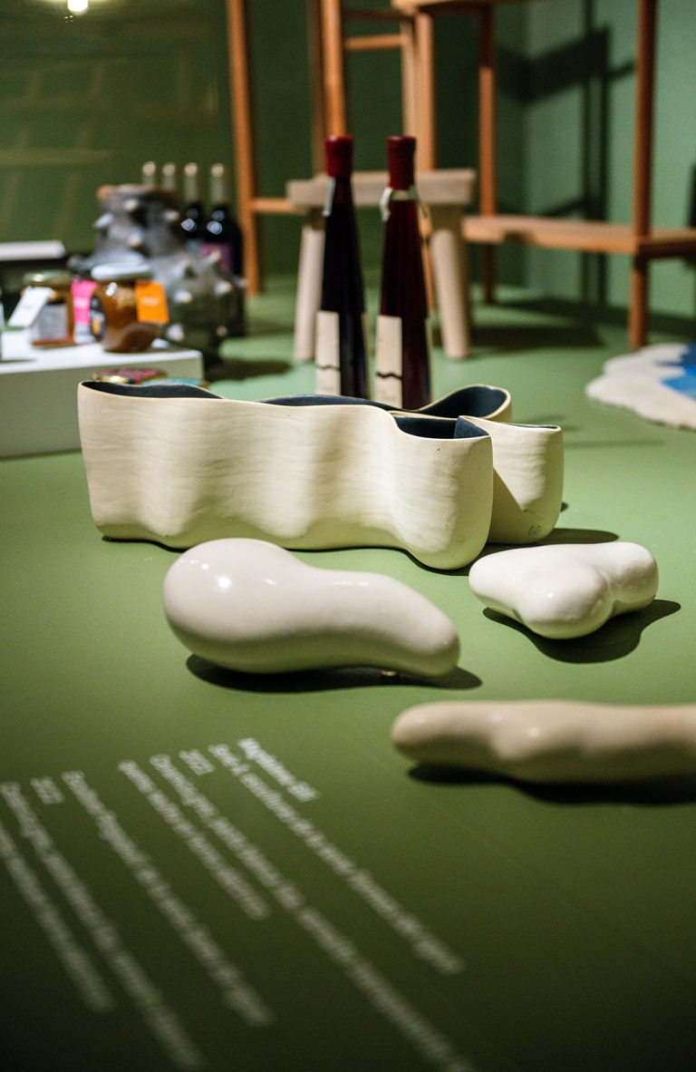 Exposición «Naturaleza y Geografía de Chile a través del diseño»: Una escena marcada por el paisaje
