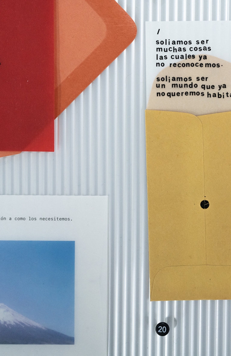 Exposición «Relatos Pasajeros» de Valentina Améstica: preservando lo efímero