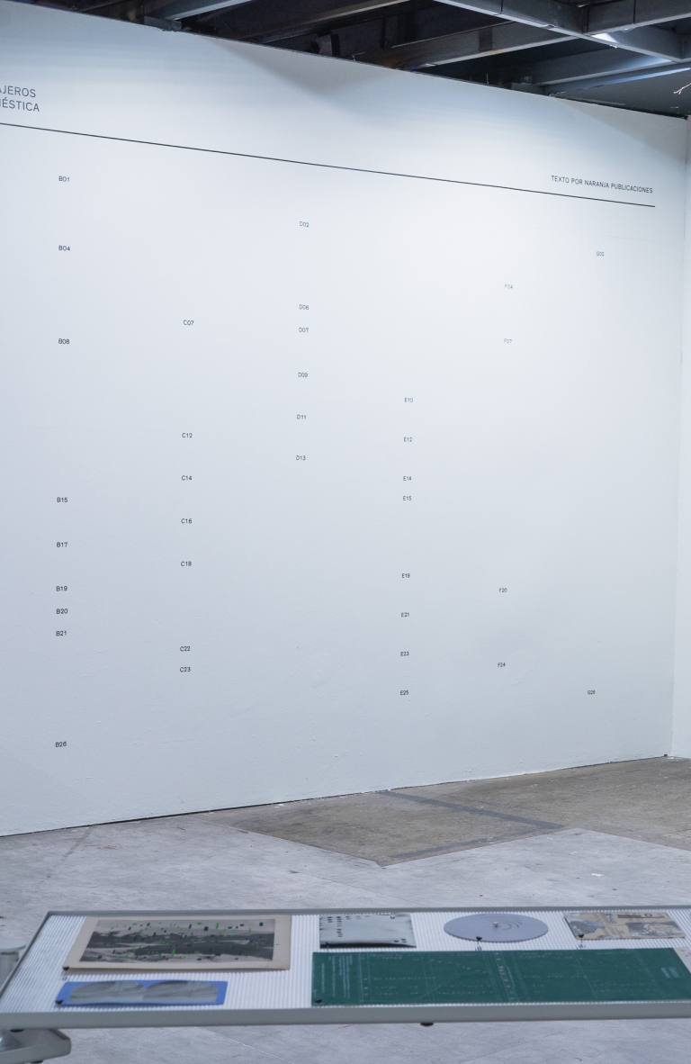 Exposición «Relatos Pasajeros» de Valentina Améstica: preservando lo efímero