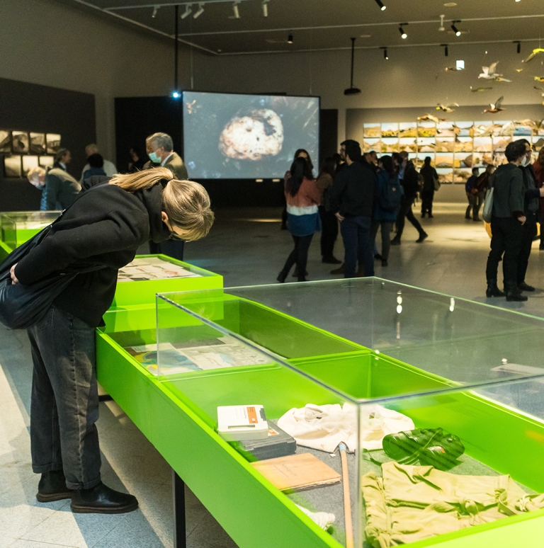 Exposición «Trabajos de Campo»: una expedición al territorio desde el arte y la ciencia