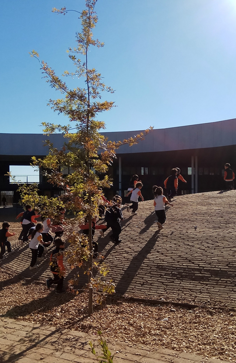 Patio Vivo resignifica los patios escolares a través de la arquitectura y el juego