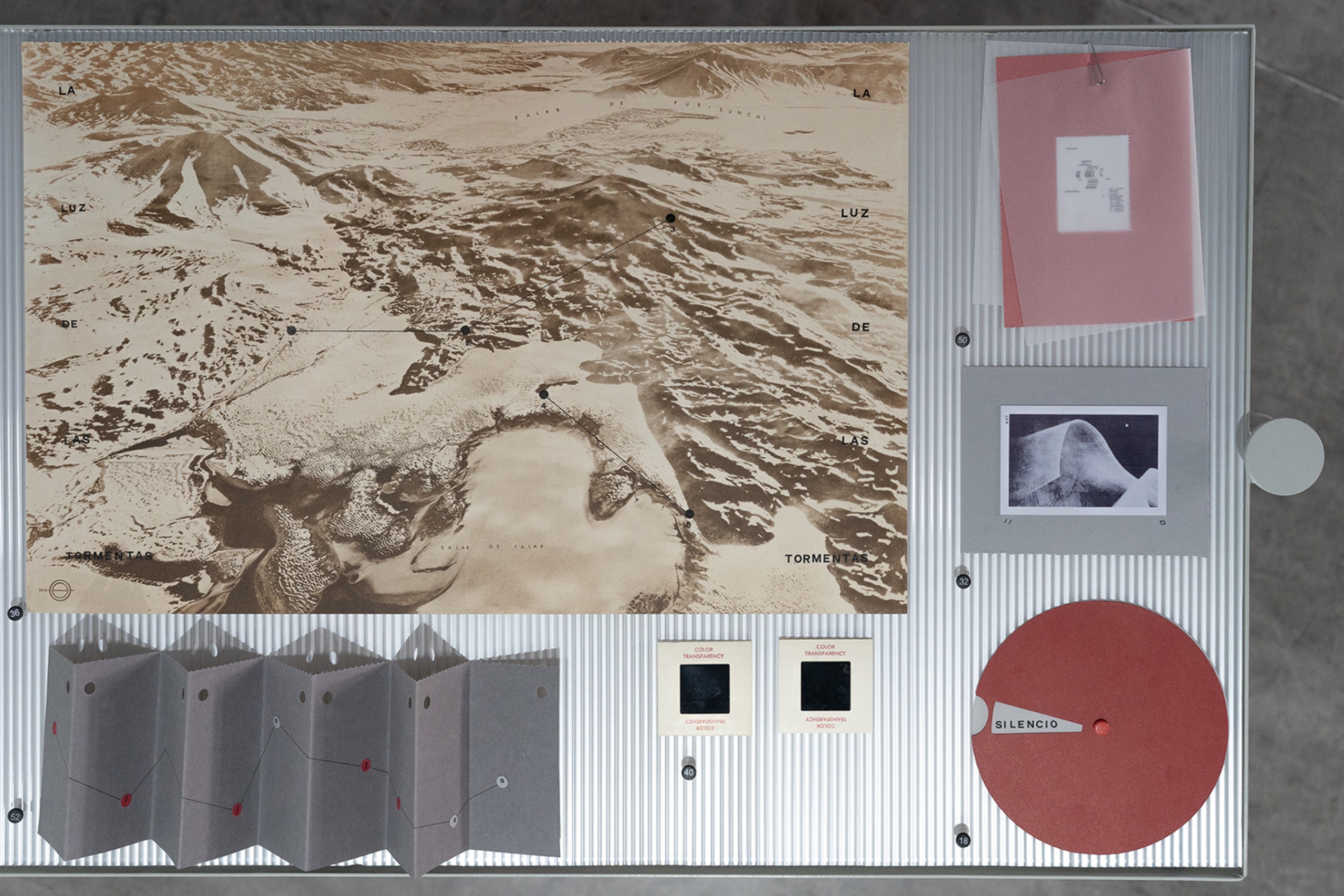 Exposición «Relatos Pasajeros» de Valentina Améstica: preservando lo efímero