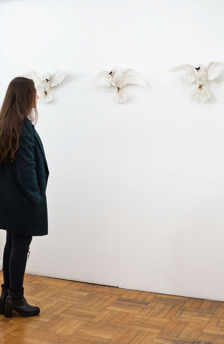 “Traducir lo Intangible” de Isidora Kauak: de la magia al arte