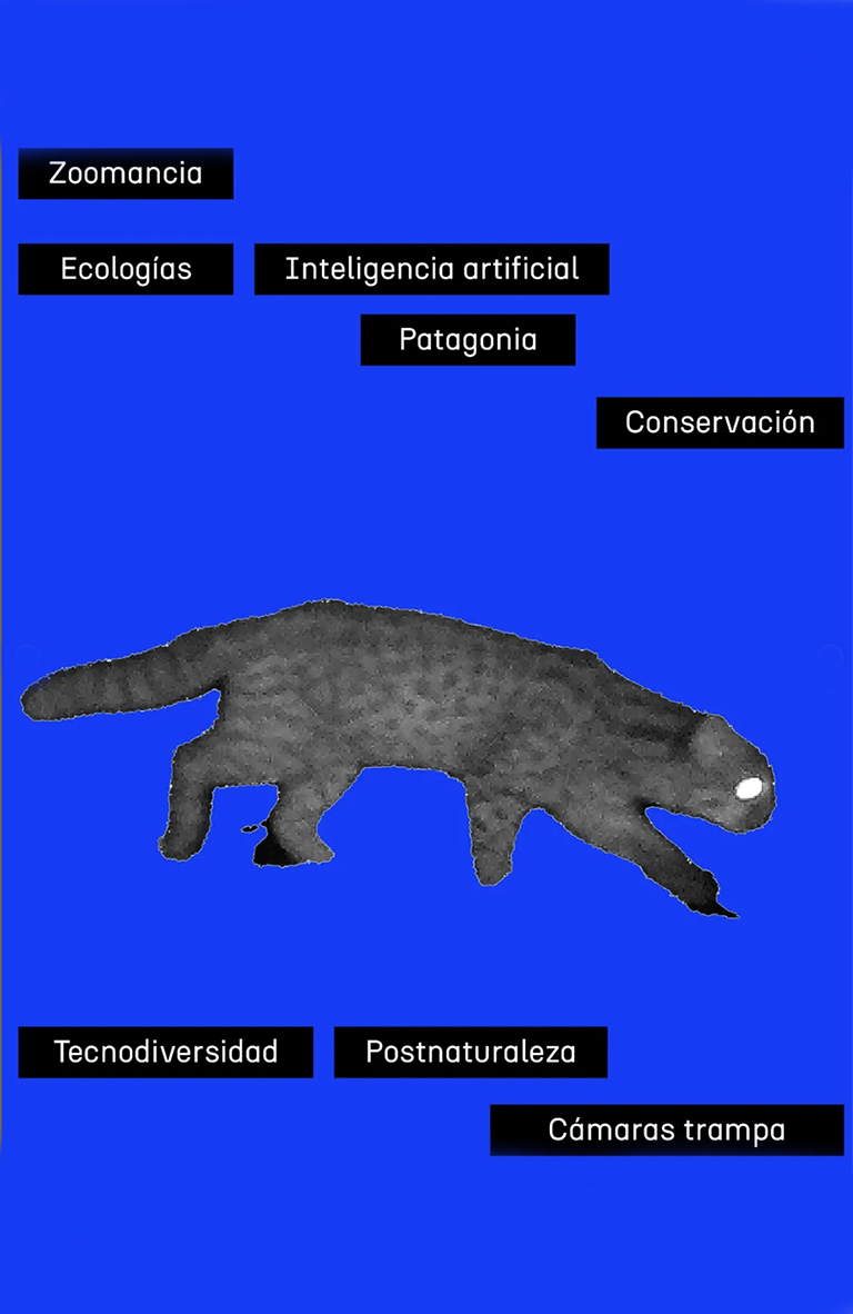Núcleo Lenguaje y Creación UDLA: Un lugar para repensar el futuro desde la interdisciplina