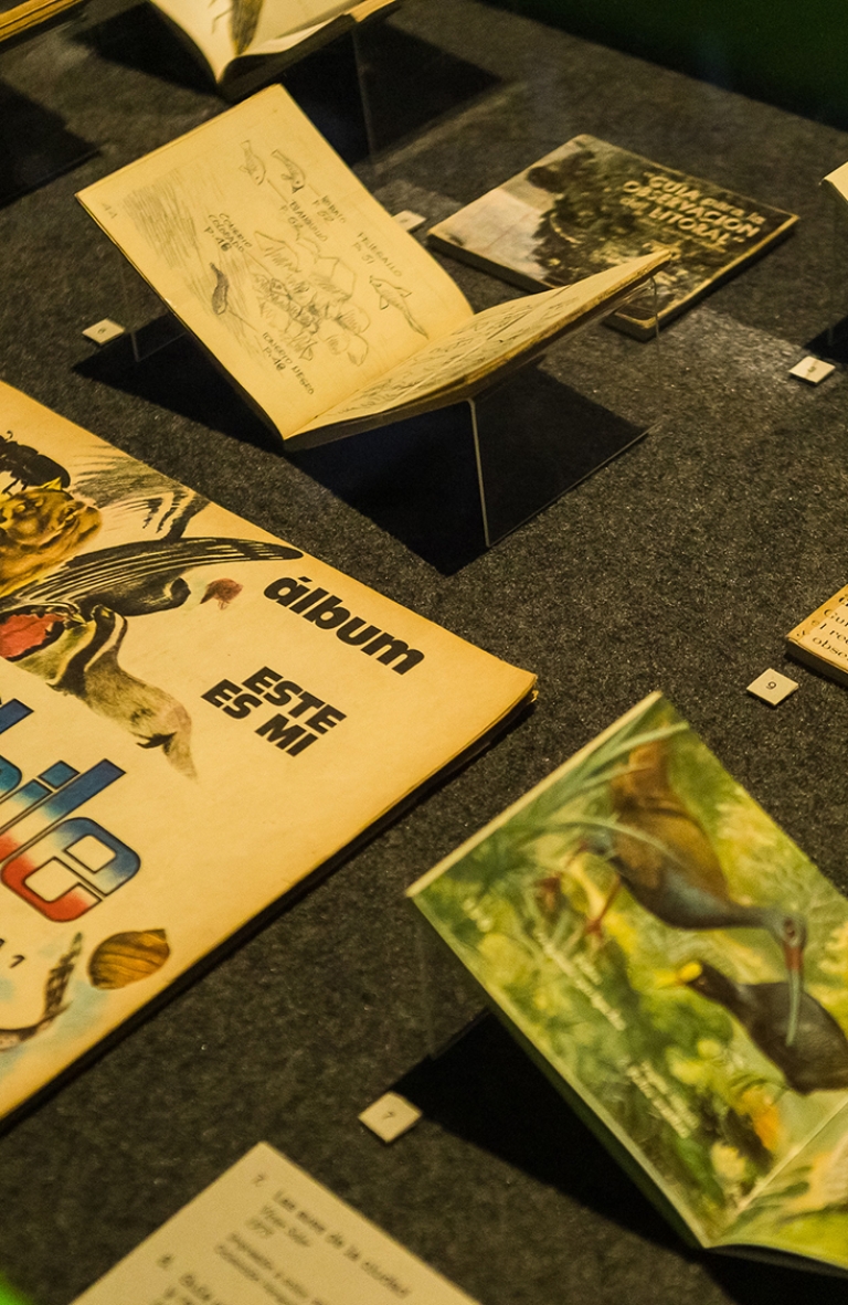 Exposición «Trabajos de Campo»: una expedición al territorio desde el arte y la ciencia