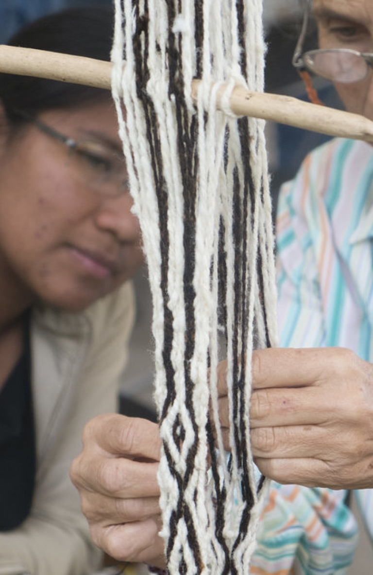 Fundación Organizmo: Construyendo un nuevo cohabitar