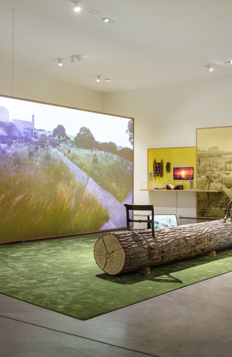 Diseñando con Naturaleza en el Museo Vitra