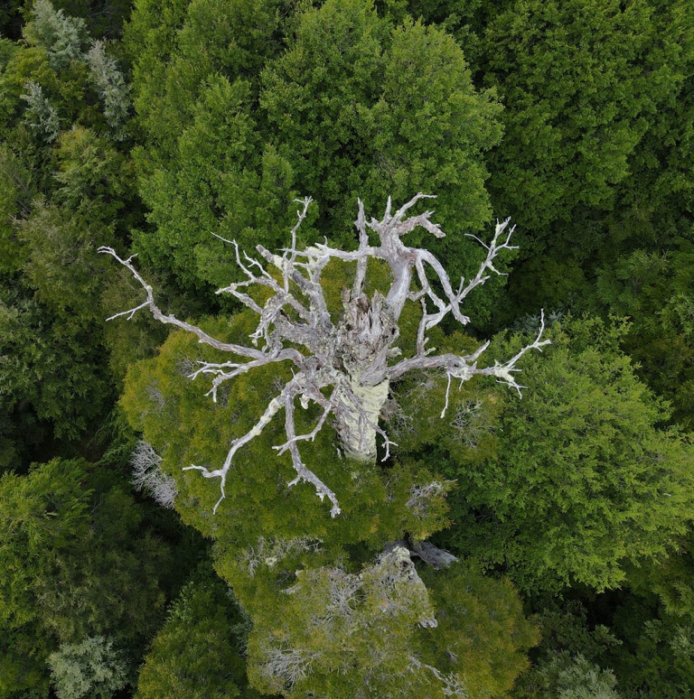 Nueva residencia de Fundación Mar Adentro invita a repensar lo humano desde la naturaleza