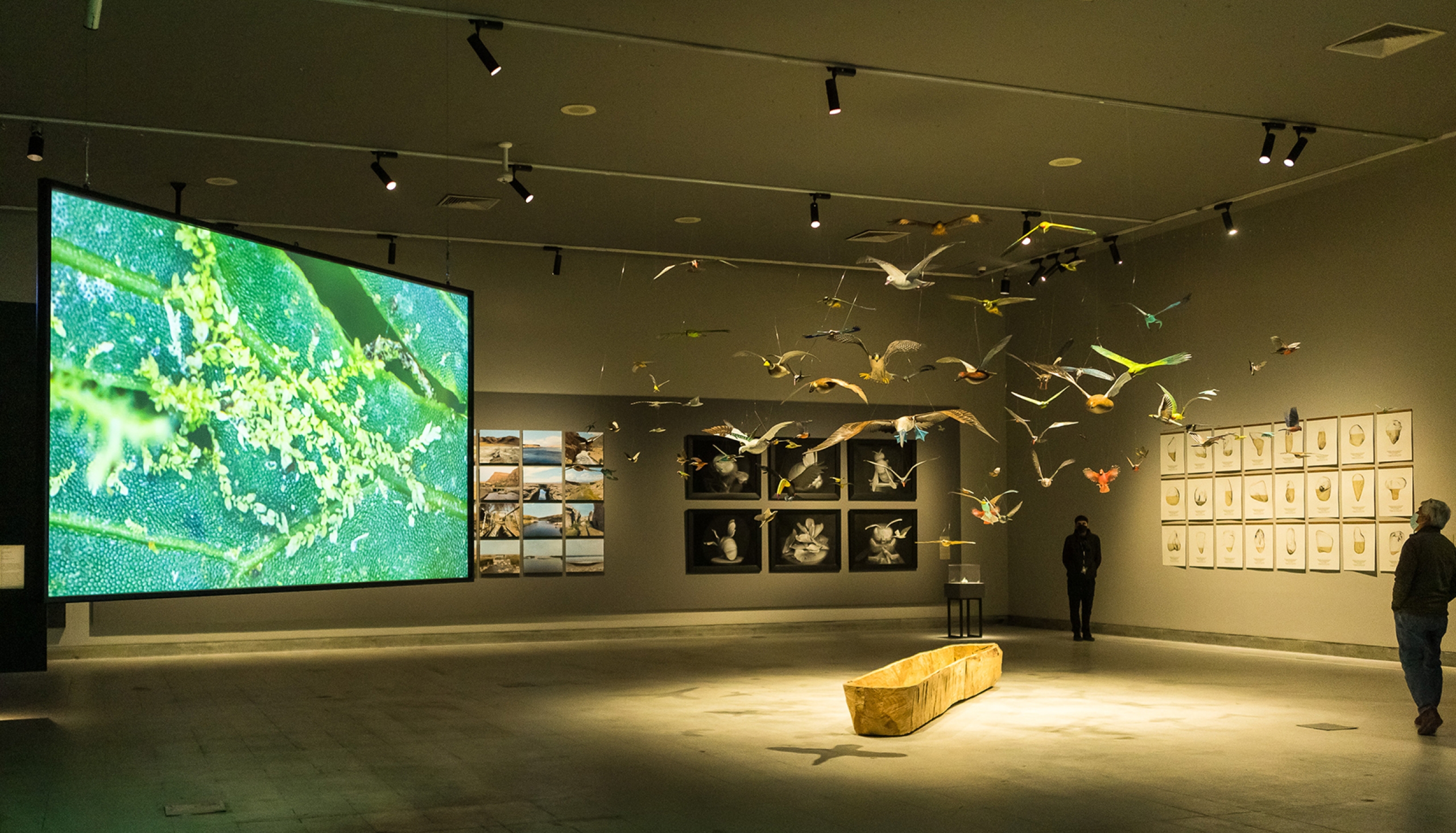 Exposición «Trabajos de Campo»: una expedición al territorio desde el arte y la ciencia