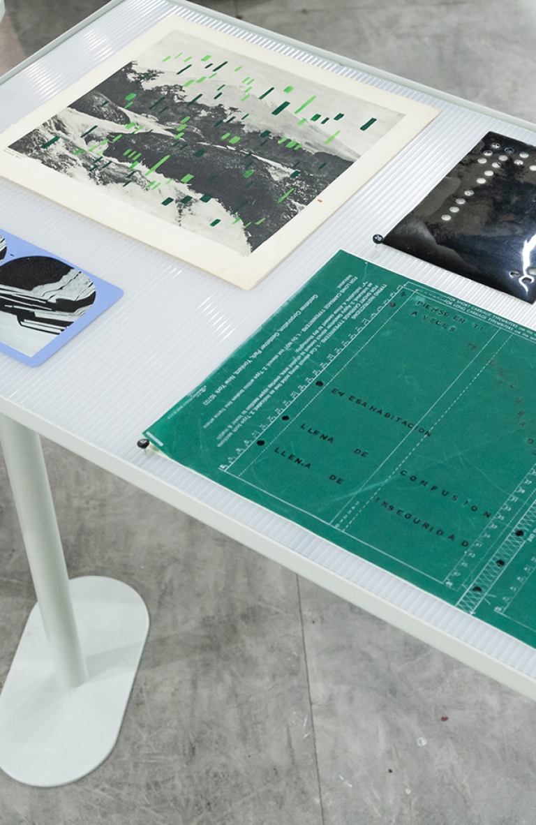 Exposición «Relatos Pasajeros» de Valentina Améstica: preservando lo efímero