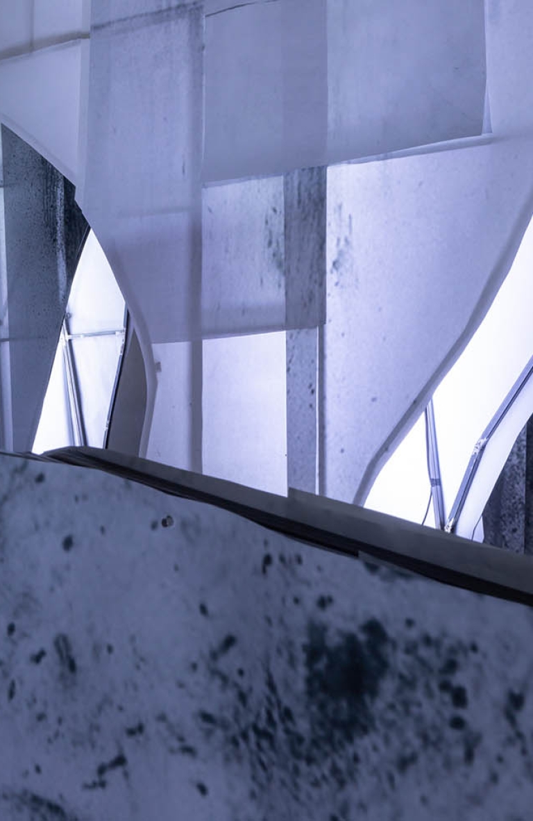 Exposición «Un elefante y un paisaje» de Elena Loson: Expandir los límites del dibujo