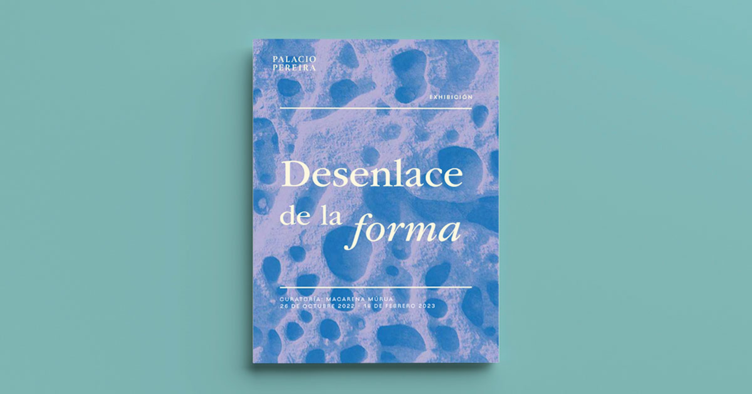 Descarga el catálogo de la exposición  «desenlace de la forma»