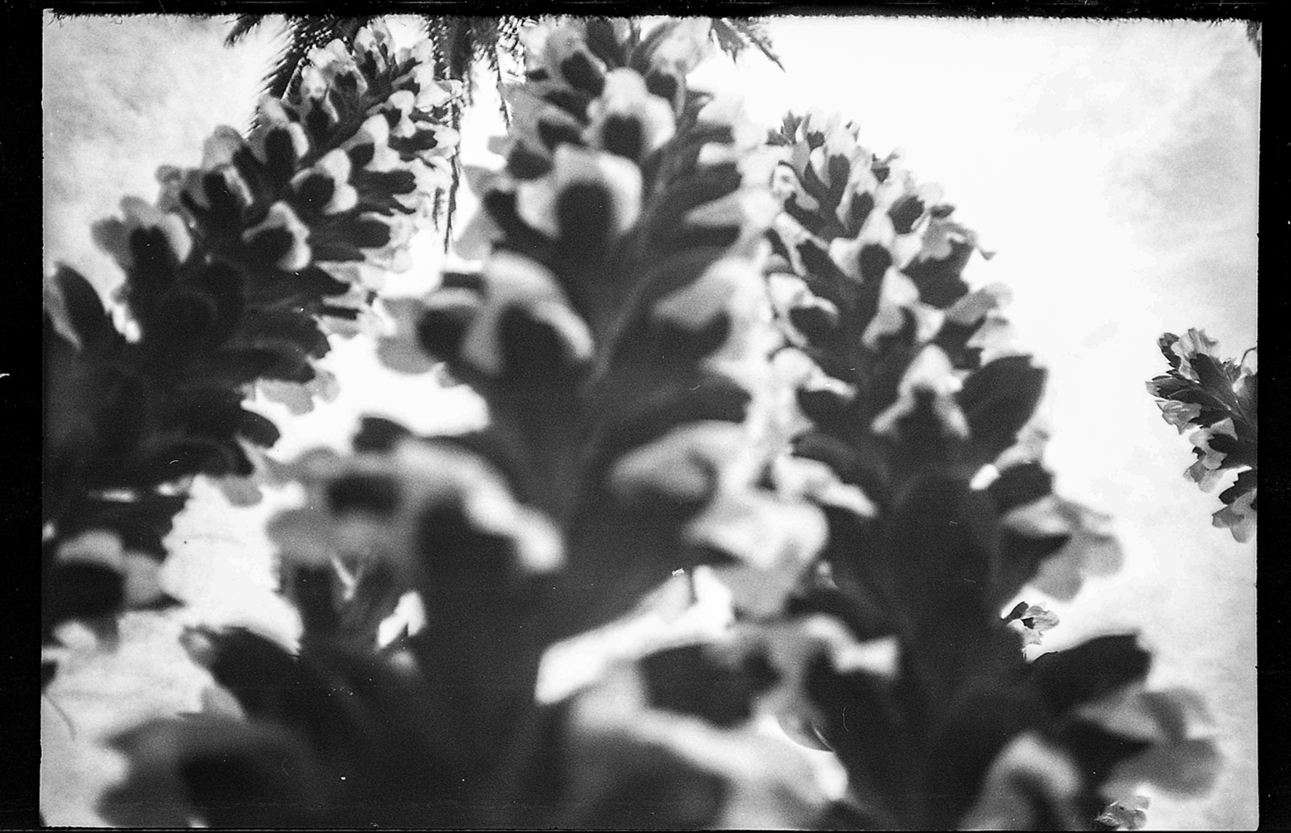 The Sustainable Darkroom: definiendo nuevos parámetros ecológicos para la fotografía análoga