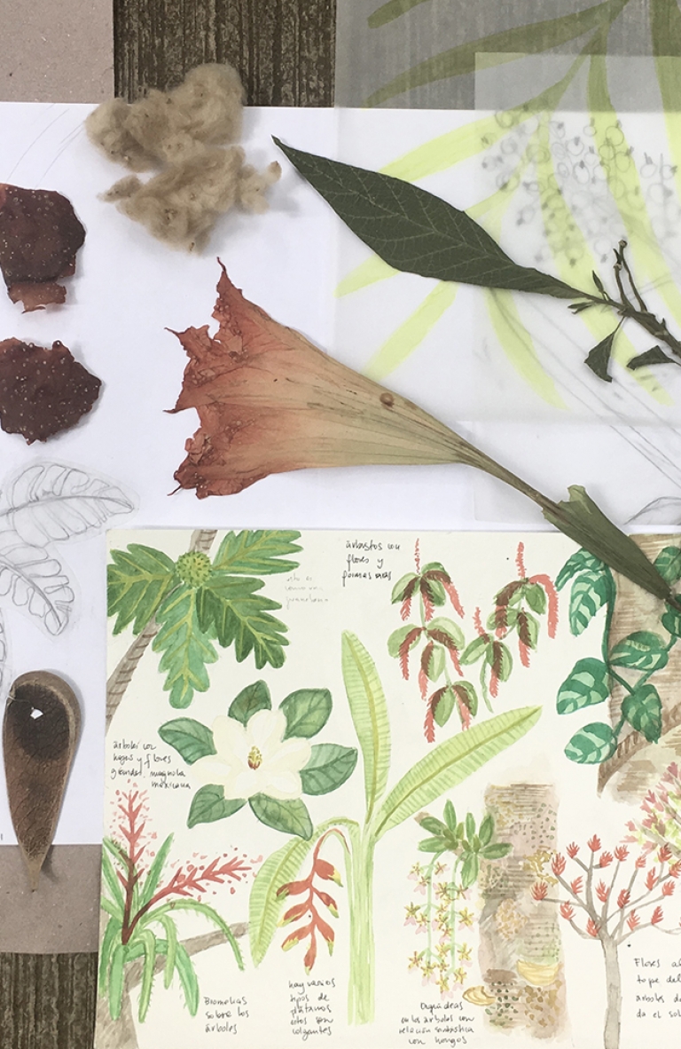 Los textiles naturalistas de Isabel Infante: creaciones que hablan de biodiversidad, cultura y territorio