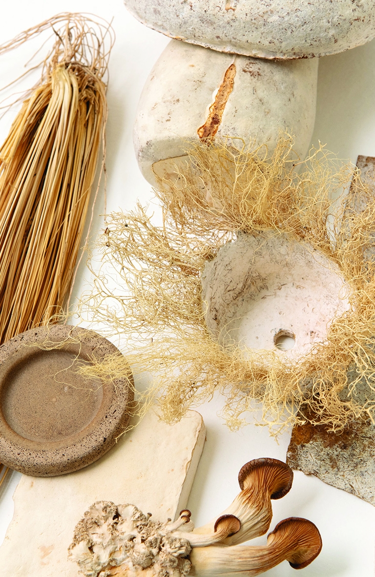 Biomateriales Latinoamericanos se unen en exposición «Materia del Sur (MoS)» en Berlín