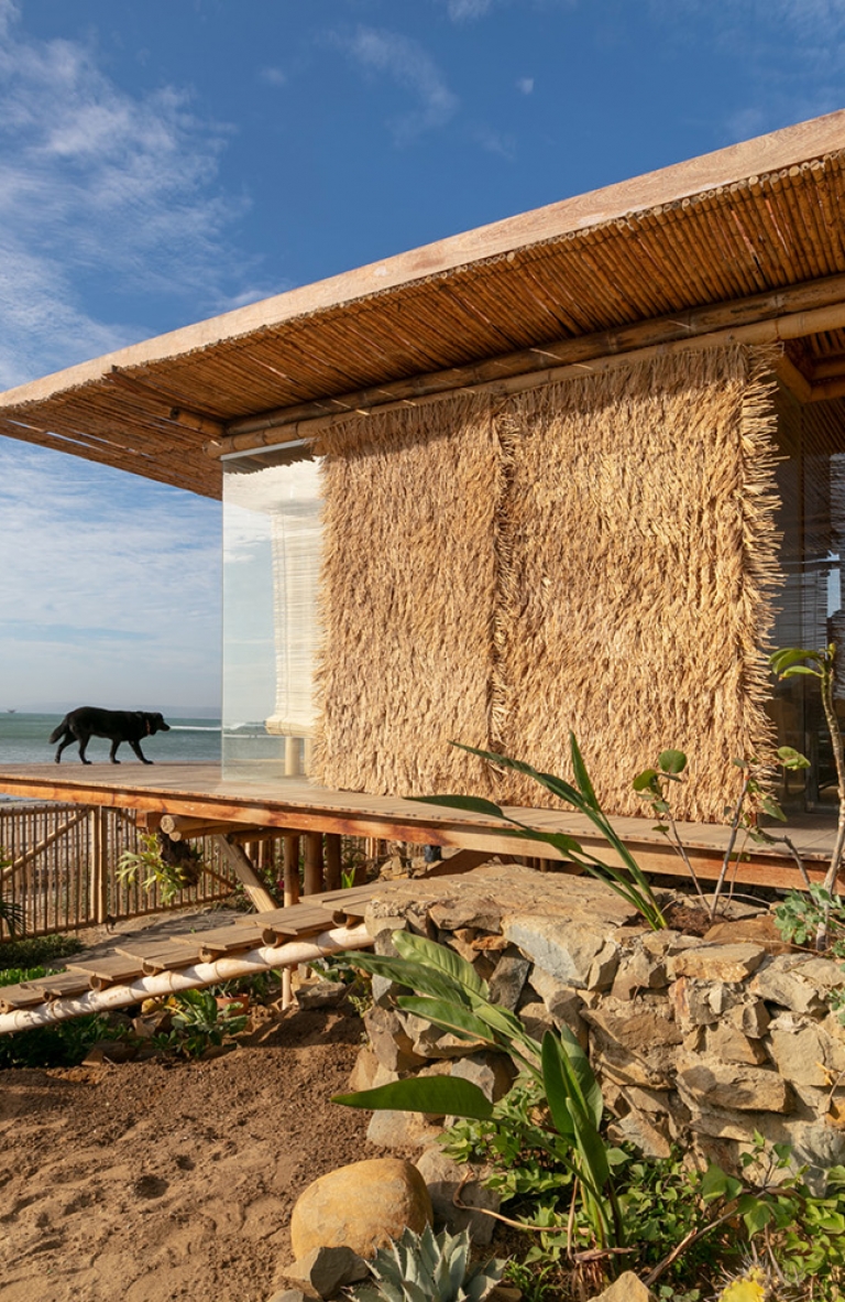 Estación Tropical: Arquitectura para el entorno tropical de la costa norte peruana