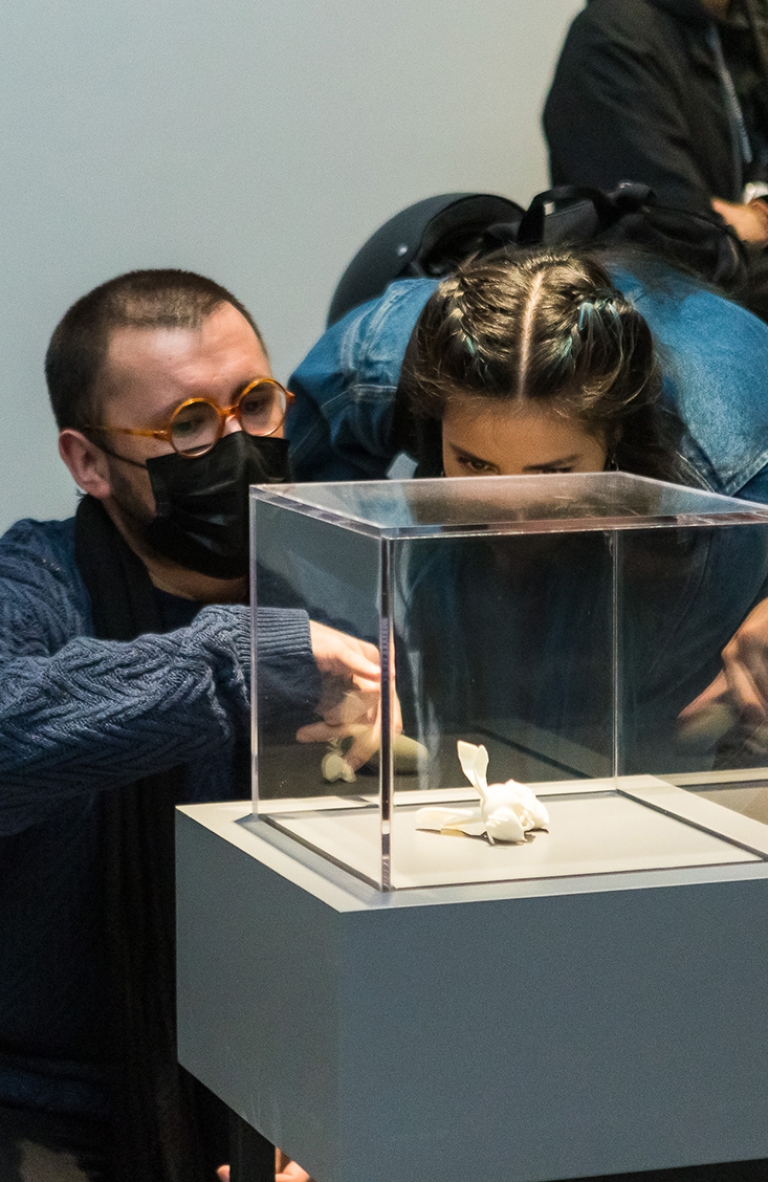 Exposición «Trabajos de Campo»: una expedición al territorio desde el arte y la ciencia