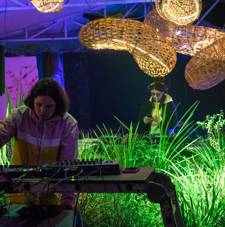 Primera Edición de BioRitmo: Arte, Música y Naturaleza se unieron en Puerto Varas