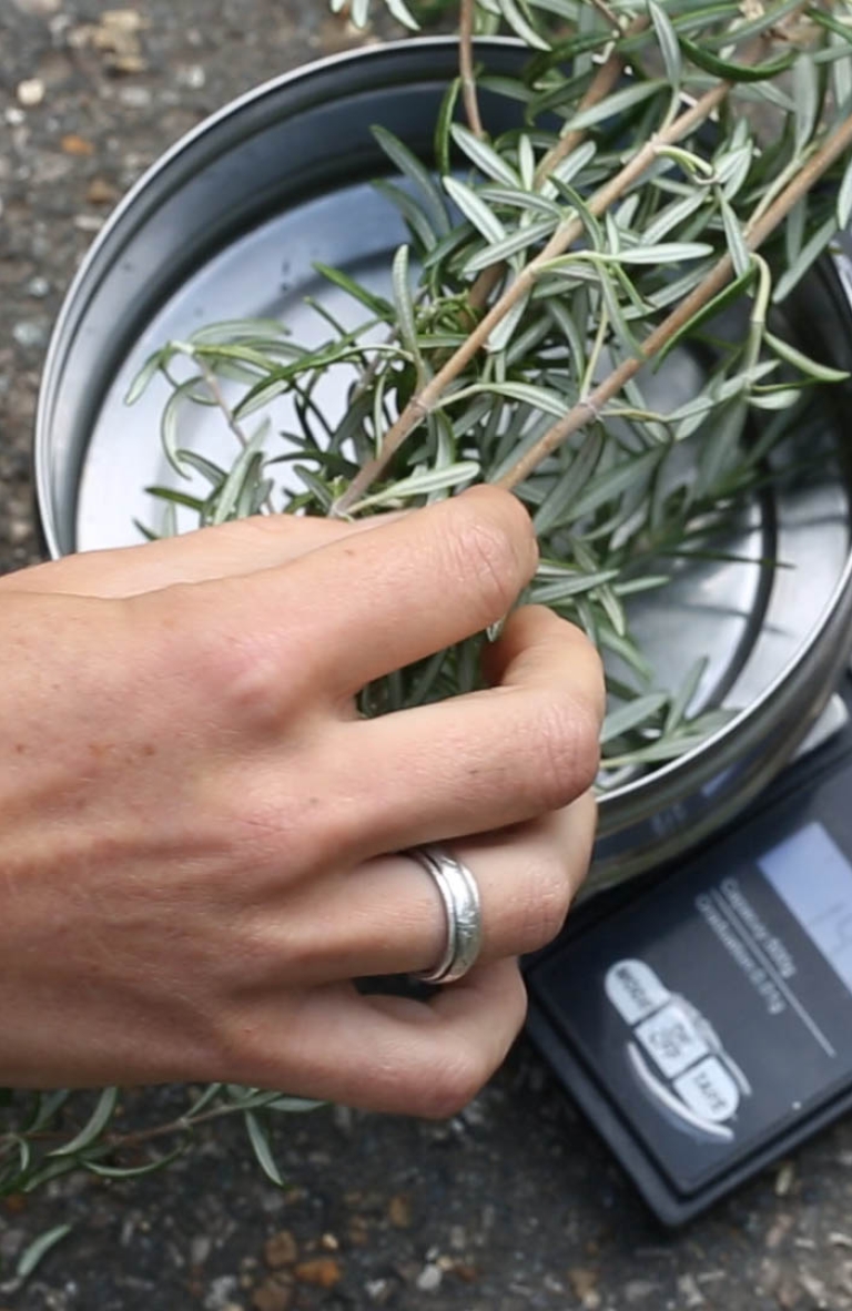 The Sustainable Darkroom: definiendo nuevos parámetros ecológicos para la fotografía análoga