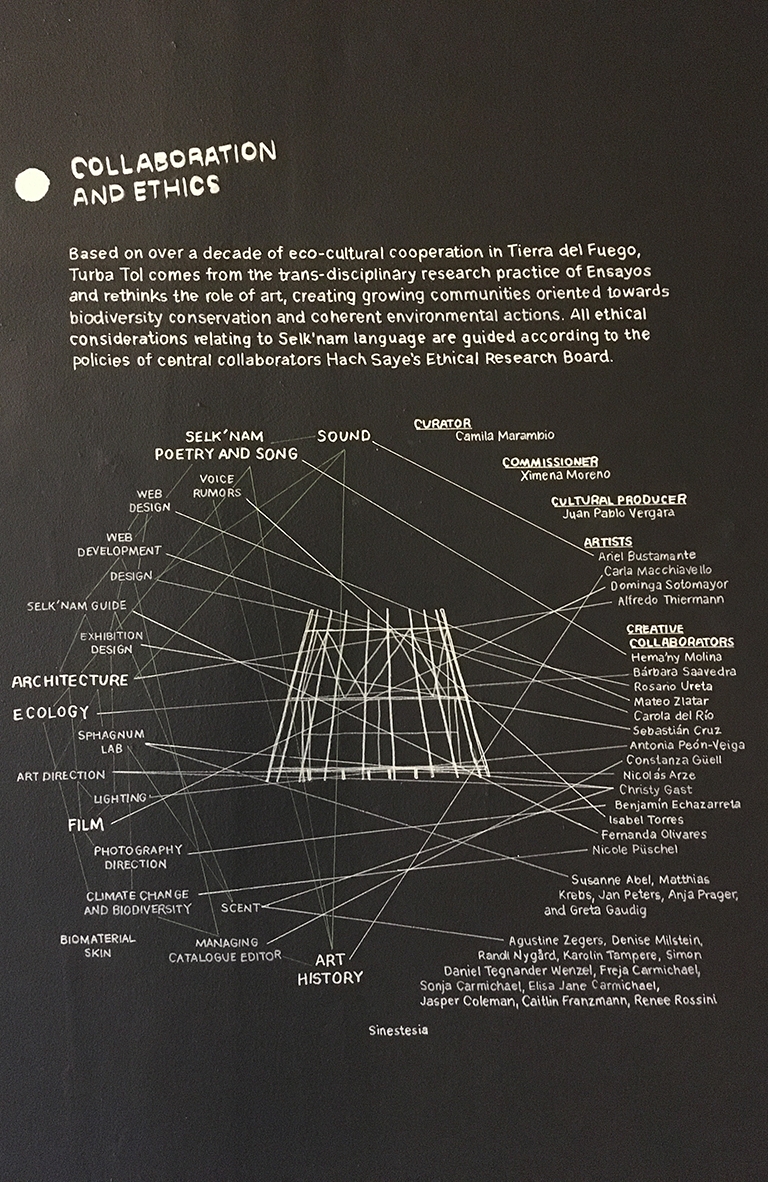 Rosario Ureta y el diseño gráfico de Turba Tol, pabellón chileno en Venecia que visibiliza las turberas patagónicas