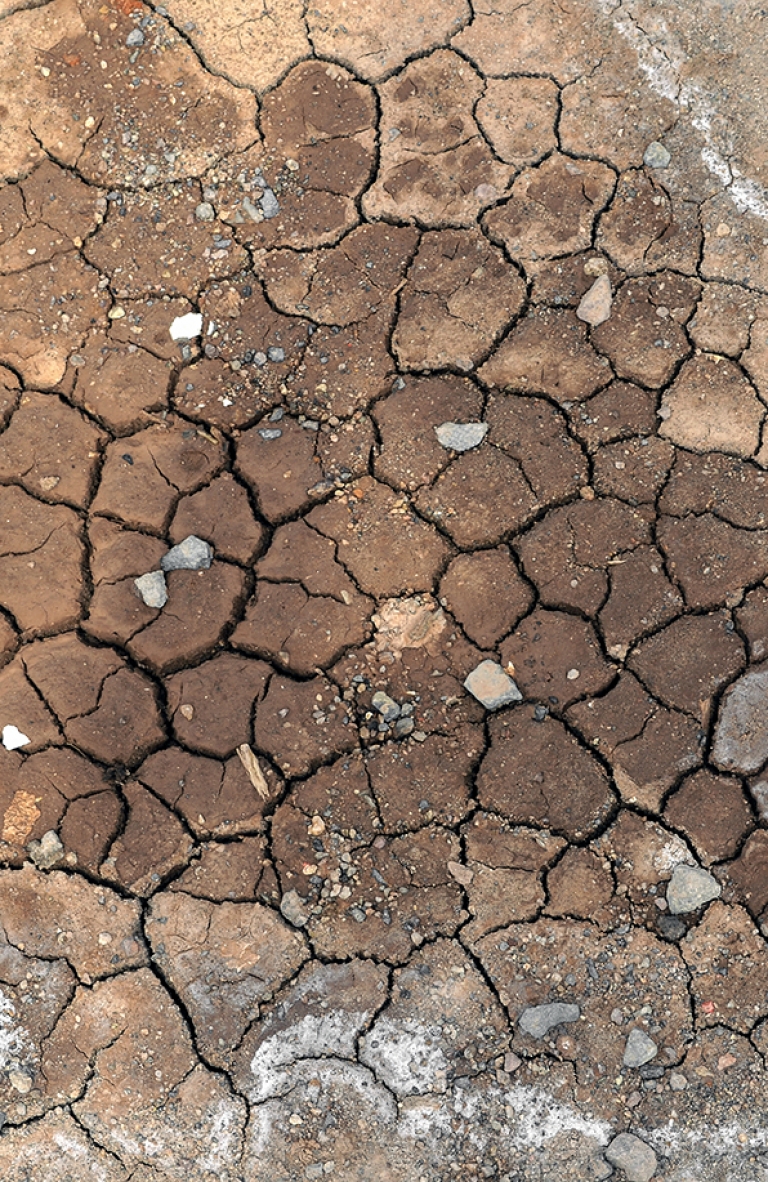 Fotografía y territorio: Gaspar Abrilot retrata la crisis hídrica del río Loa y sus comunidades